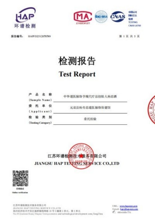 人民视窗官方网站特别报道 中华道医脉络学现代疗法创始人杨忠
