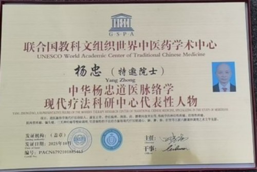 人民视窗官方网站特别报道 中华道医脉络学现代疗法创始人杨忠