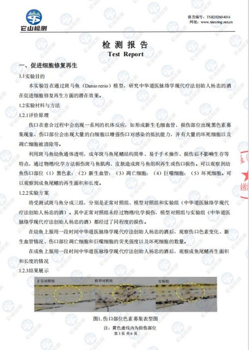 人民视窗官方网站特别报道 中华道医脉络学现代疗法创始人杨忠