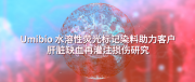 IF=6.0宇玫博荧光标记染料助力肝脏缺血再灌注损伤研究!