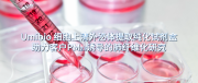 IF=16.2 宇玫博产品助力客户PM2.5诱导肺纤维化研究